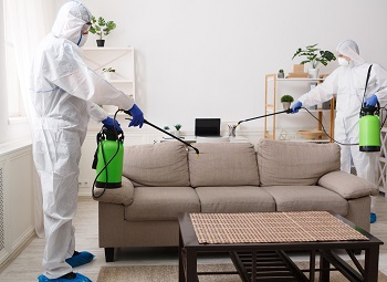 Pest control people spraying a living room